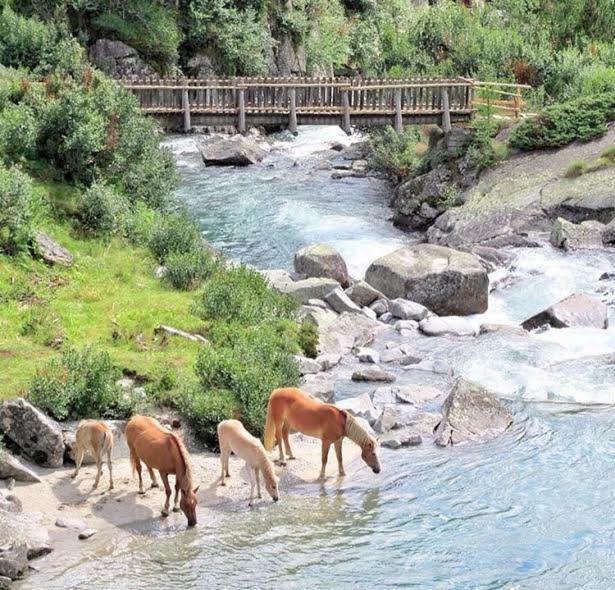Affittacamere Da Silvia Santa Barbara  Εξωτερικό φωτογραφία